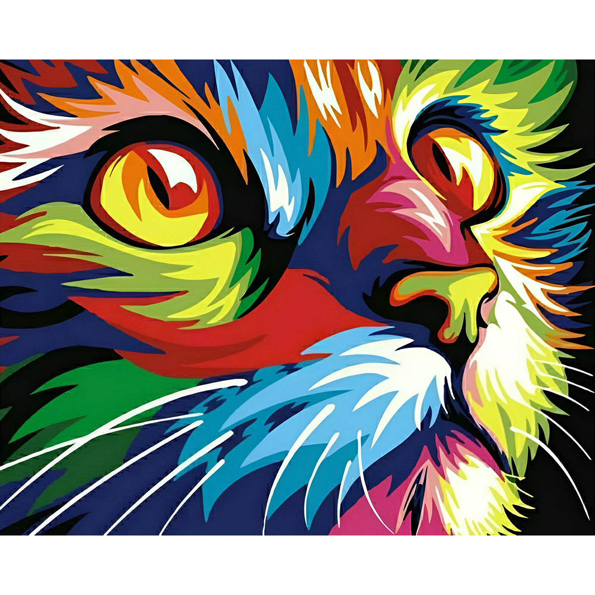 Rainbow Cat | Diamond Painting