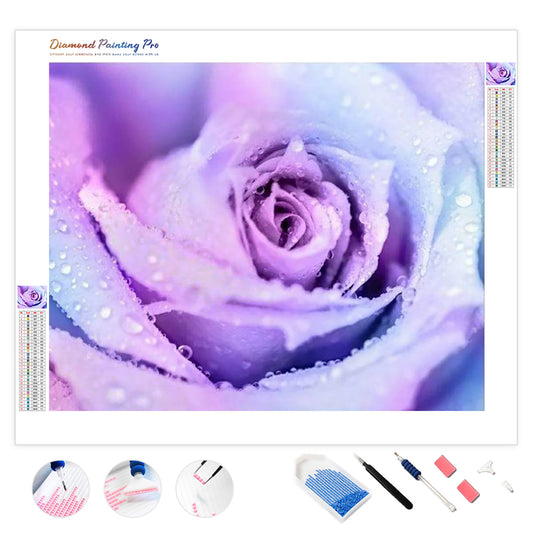 Winter Rose | Diamond Painting